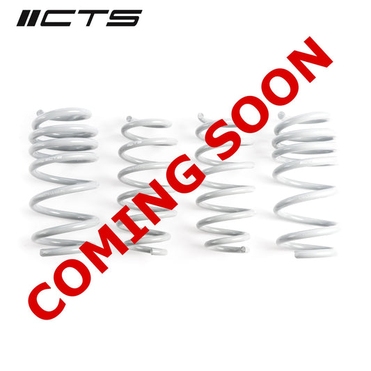 CTS Turbo Tesla Model 3 Standard Range/Standard Range Plus Lowering Springs